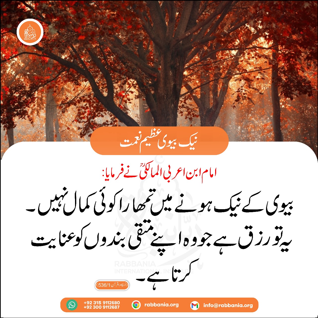 WhatsApp Image 2024-07-04 at 1.28.06 AM